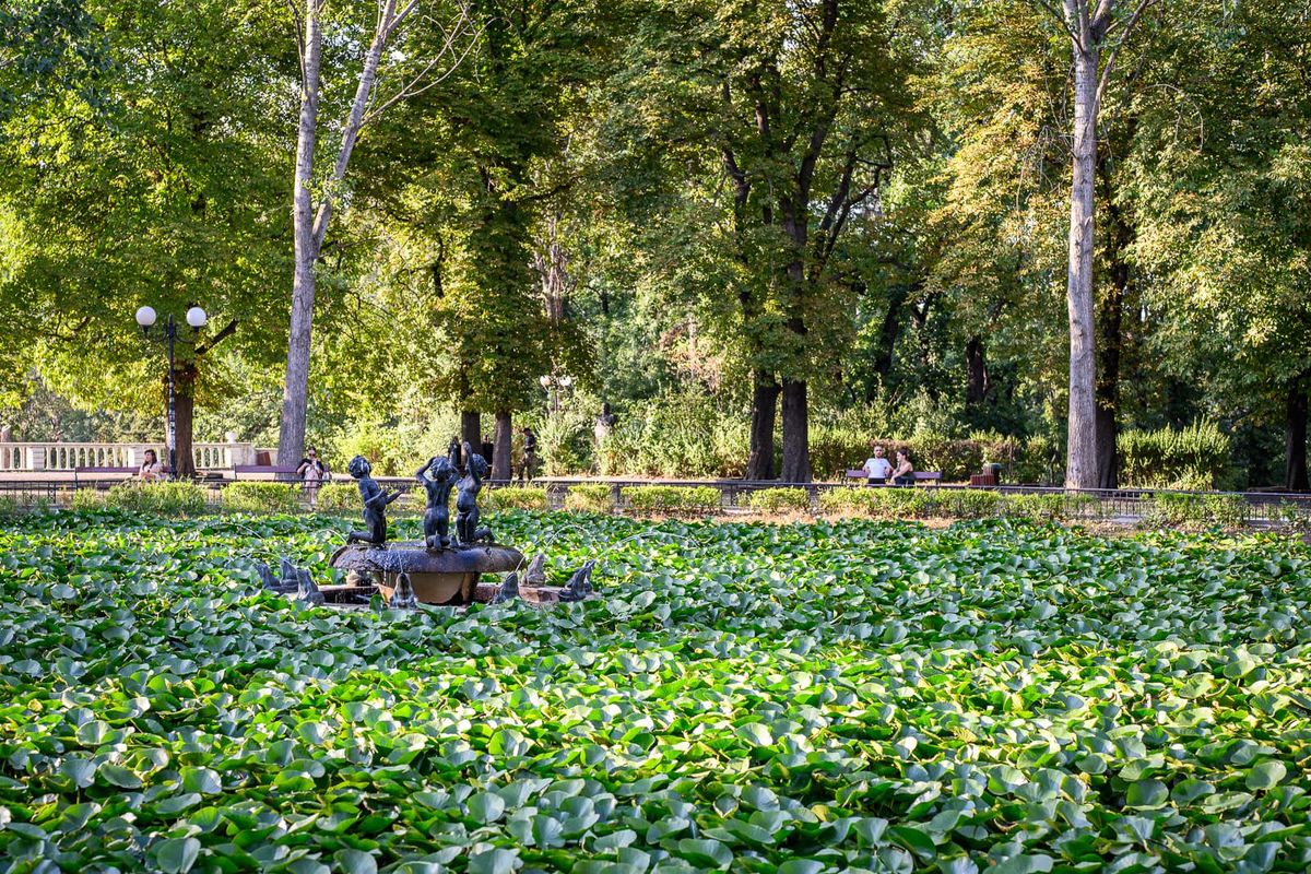 Photo Walk - 30/07/2025