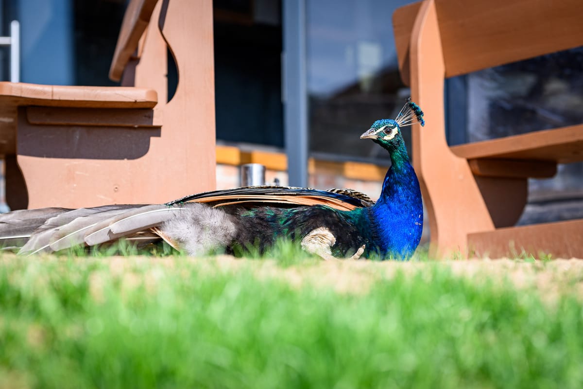 Photo Walk - 02/08/2025