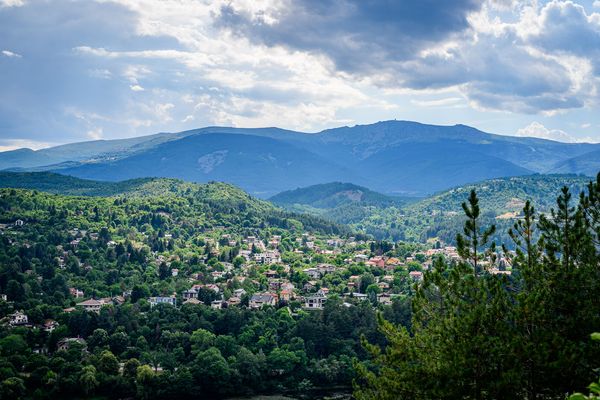 Photo Walk - 20/07/2025