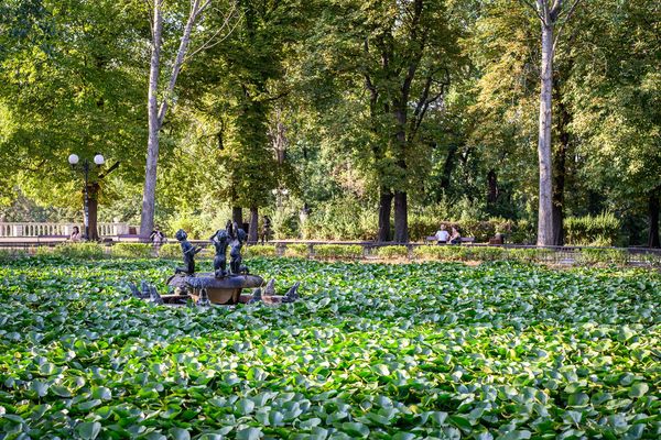 Photo Walk - 30/07/2025