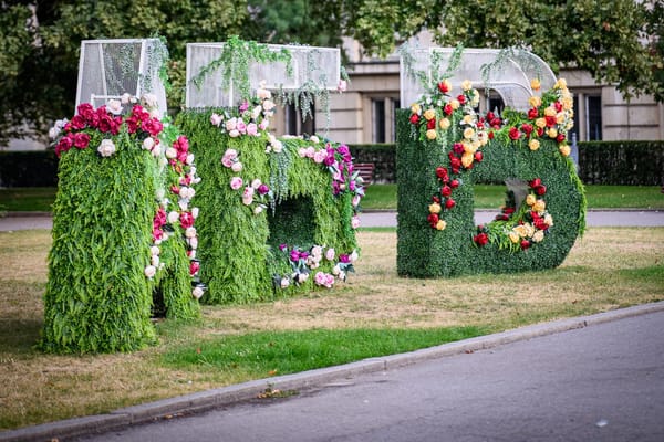 Photo Walk - 10/08/2025